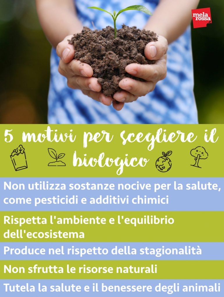 alimentazione biologica motivi per sceglierla