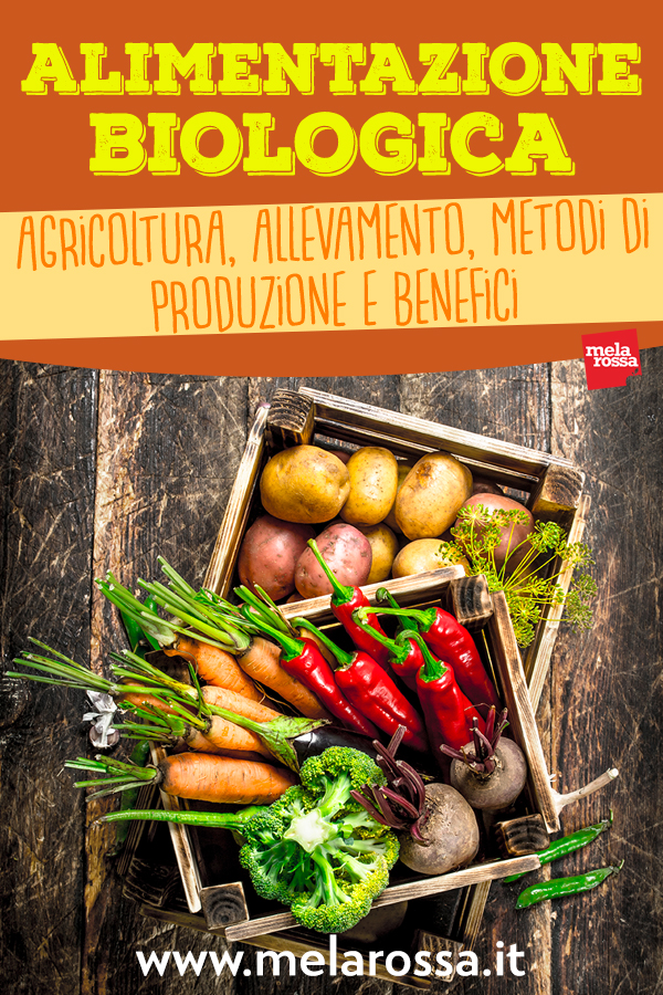 alimentazione-biologica