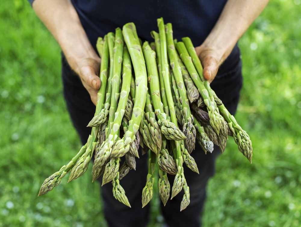 asparagi come scegliere