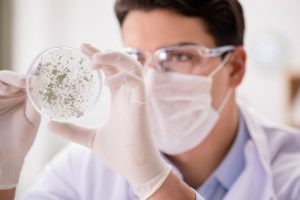 Candida Auris: dottori USA lanciano l’allarme