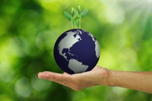 Una dieta sostenibile fa bene alla salute dell’uomo e dell’ambiente