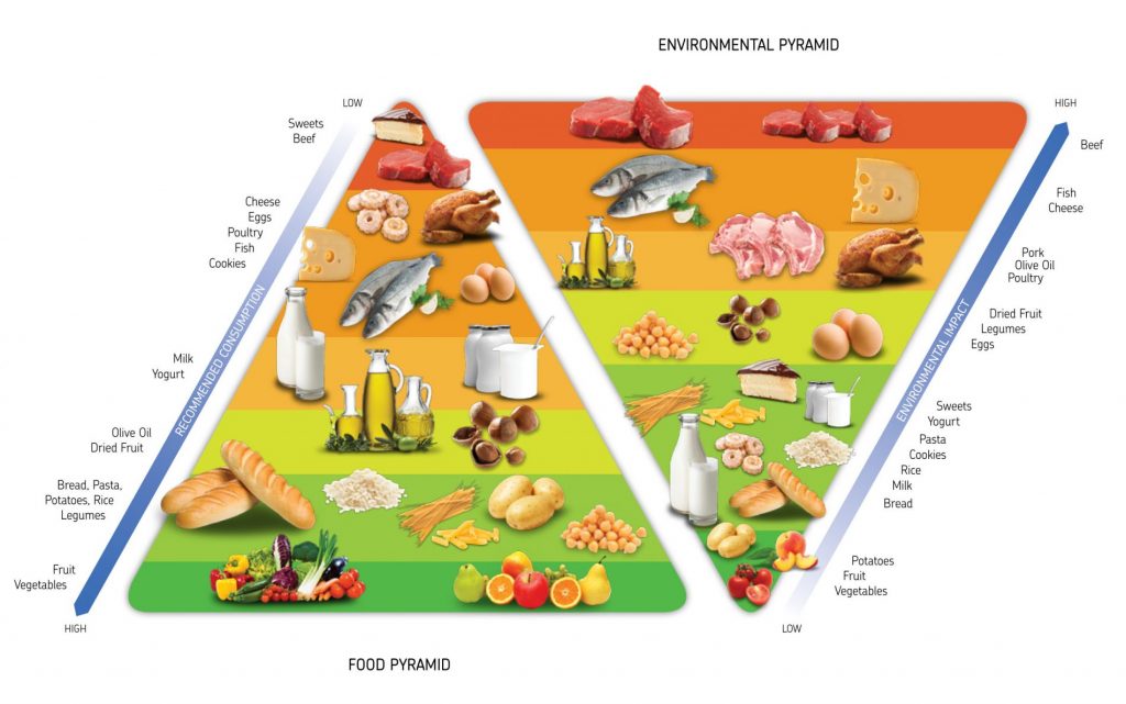 doppia piramide alimentare Barilla Center Food Nutrition