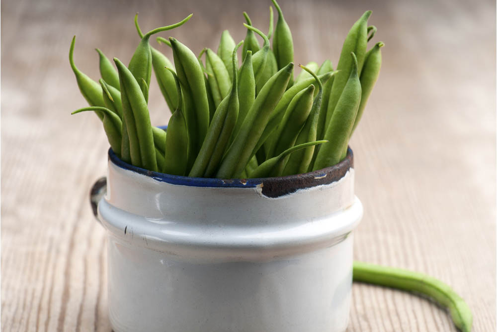 I fagiolini, anche se sono legumi, per le loro caratteristiche nutrizionali possono essere considerati a tutti gli effetti degli ortaggi, preziosi per chi ama l’alimentazione sana e punta al benessere del proprio corpo. Melarossa.it #dietamelarossa