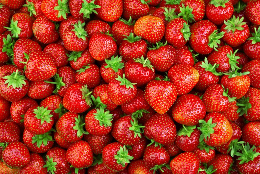 fragole, i benefici