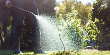 glifosato pesticida monsanto