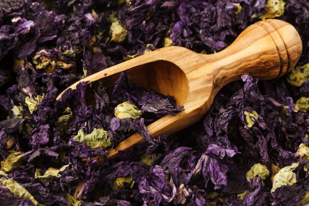 Rimedi naturali per la cistite: l'infuso di malva