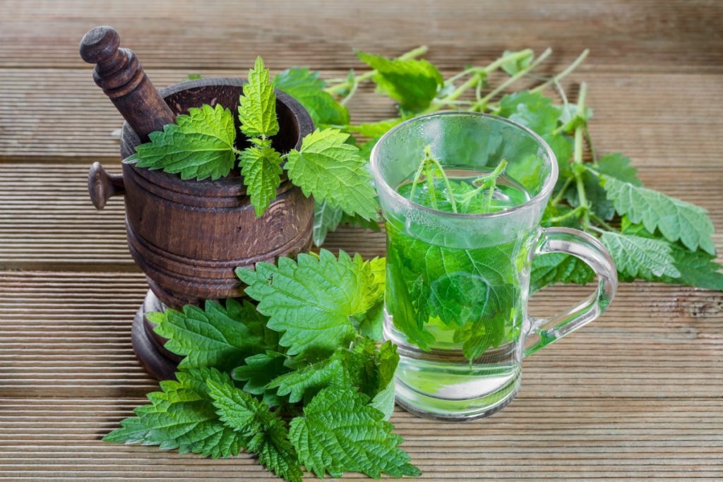 rimedi naturali cistite, la tisana all'ortica