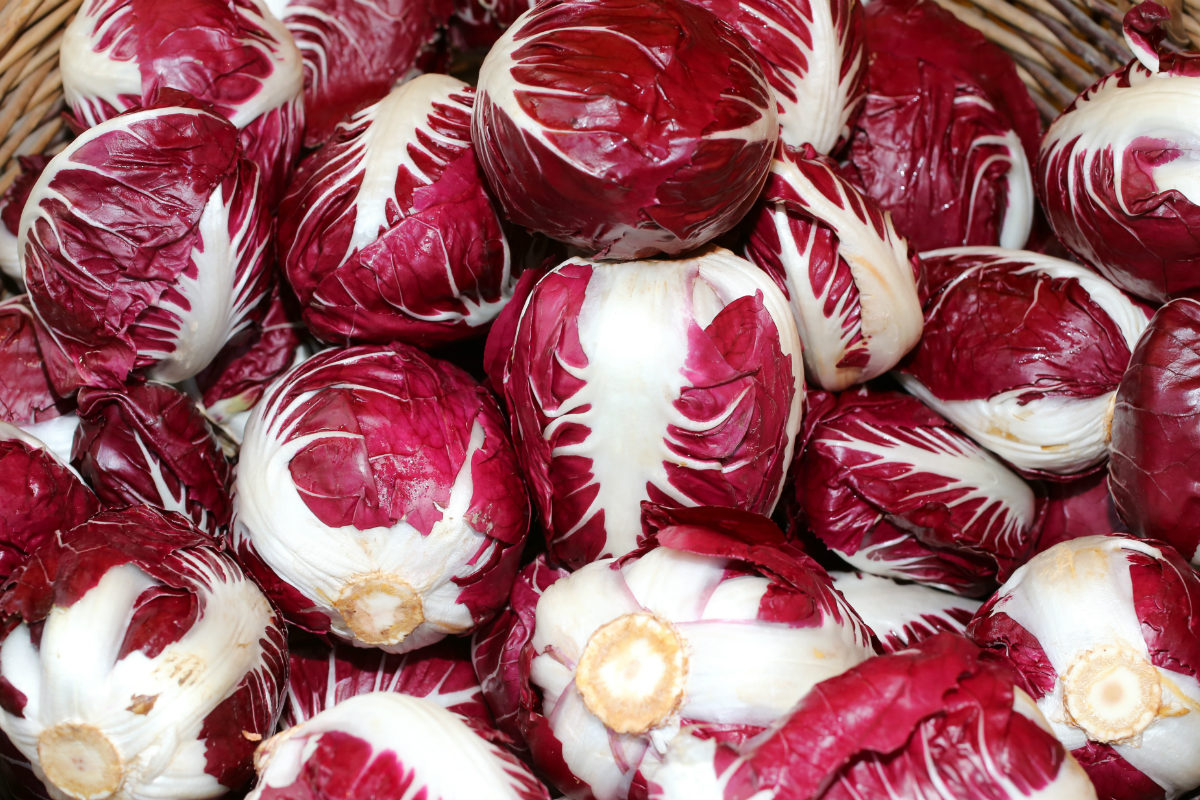 tipi di insalata, radicchio