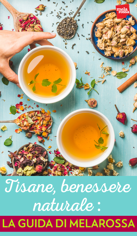 tisane, benefici e ricette