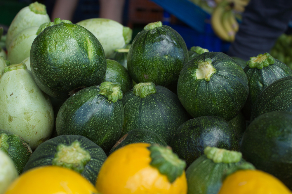 Insieme al pomodoro, la zucchina è uno degli ortaggi più diffusi e più consumati in Italia - Melarossa.it #dietamelarossa #zucchina