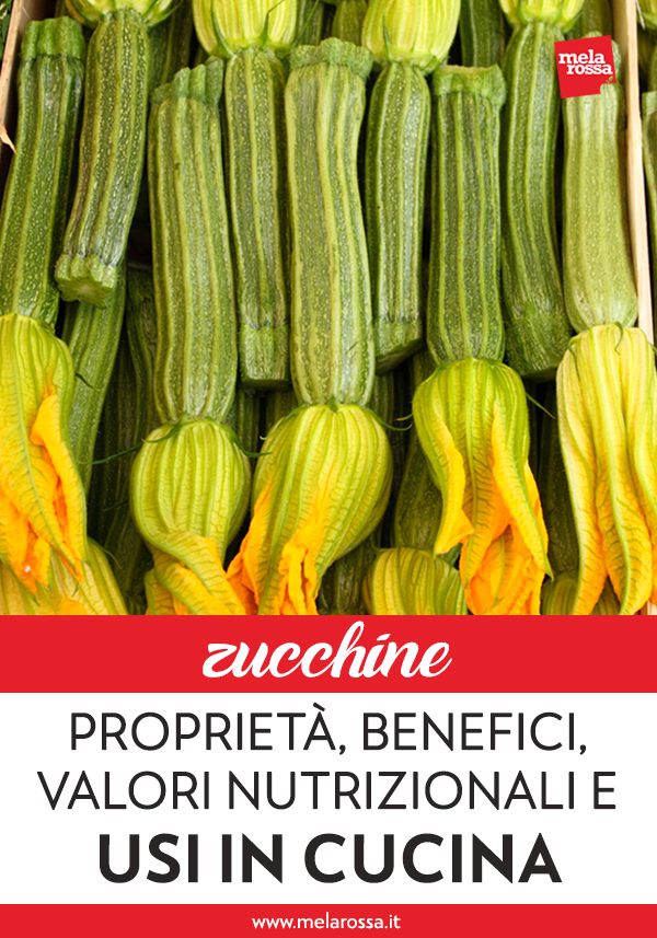 Insieme al pomodoro, la zucchina è uno degli ortaggi più diffusi e più consumati in Italia. Le sue stagioni migliori sono primavera ed estate, ma grazie alle coltivazioni in serra la zucchina si può trovare disponibile tutto l’anno e può arricchire i piatti che arrivano sulle nostre tavole. Melarossa.it #dietamelarossa
