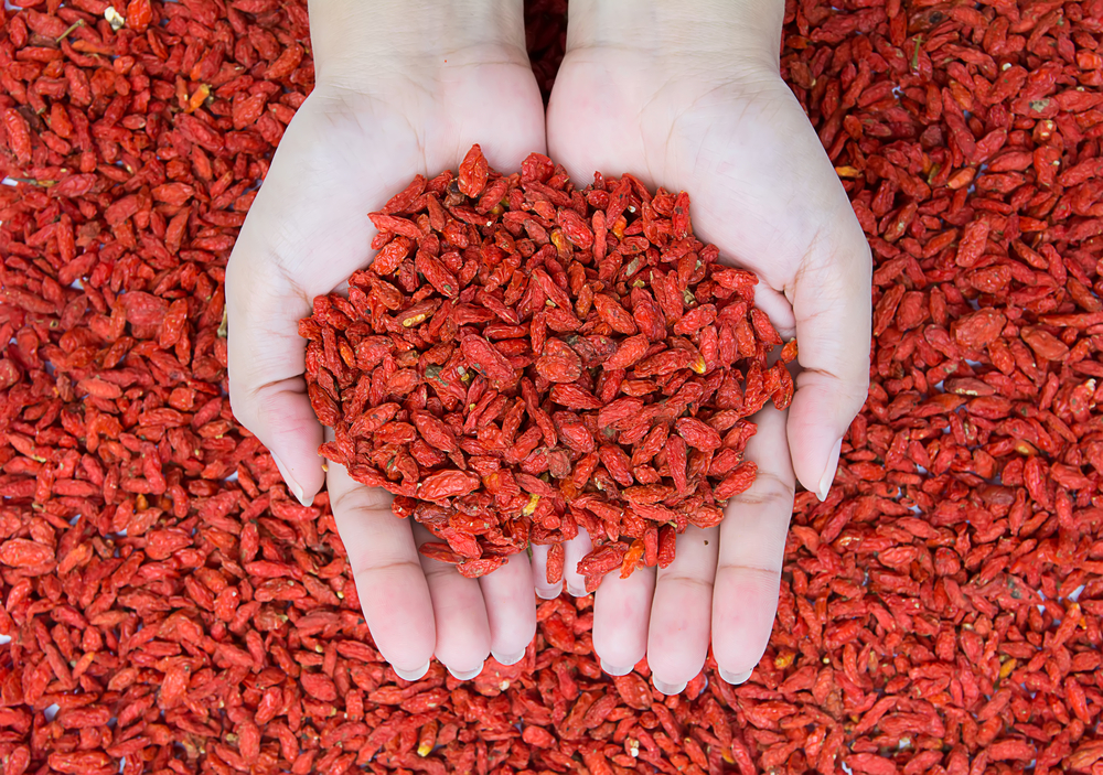 Bacche di Goji: controindicazioni