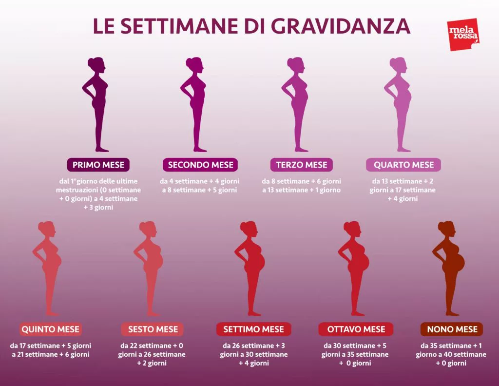 Calcolo Settimane Di Gravidanza La Guida Completa Melarossa