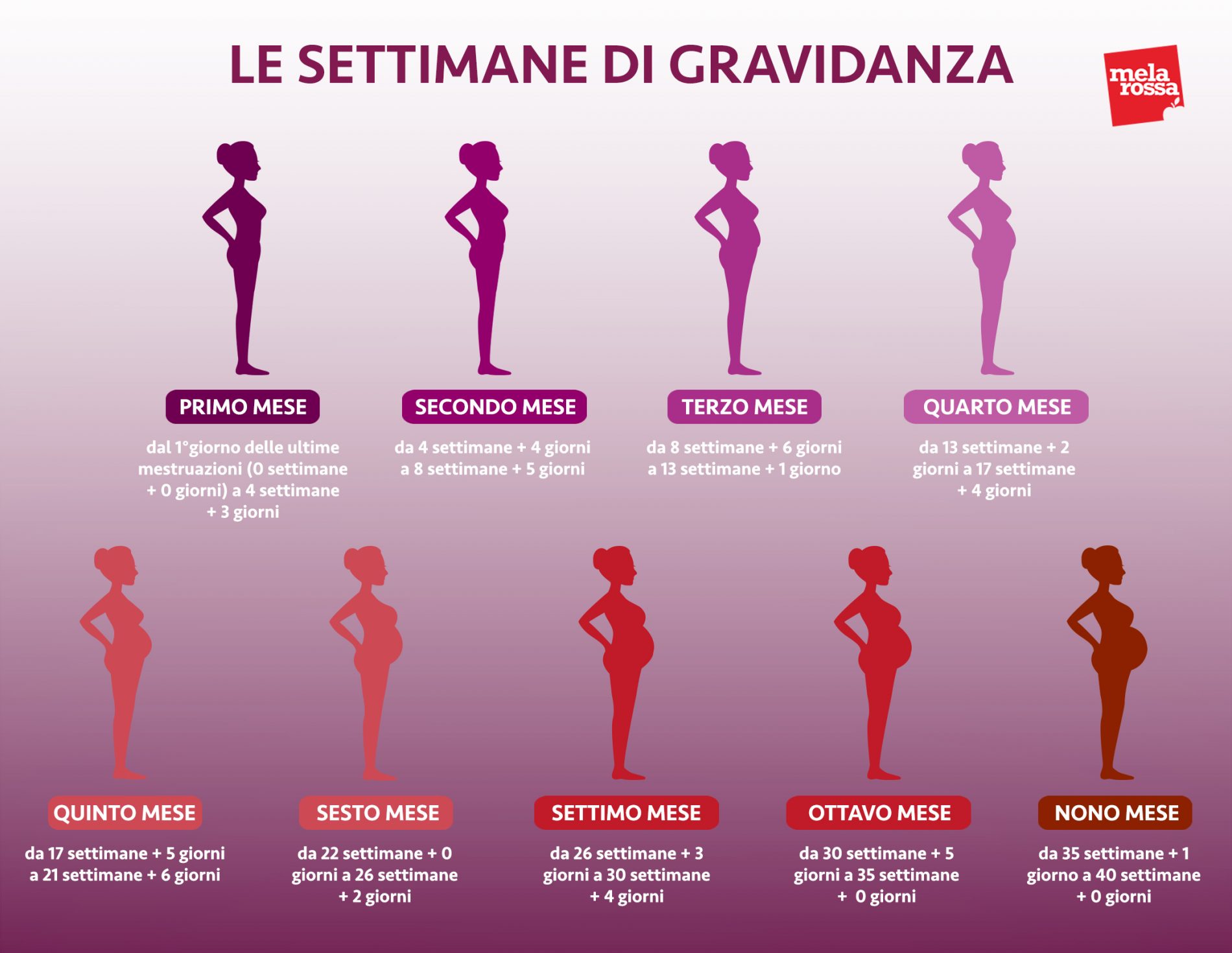 è Normale Avere Un Seno Più Grande Dell'altro Calcolo settimane di gravidanza: la guida completa - Melarossa