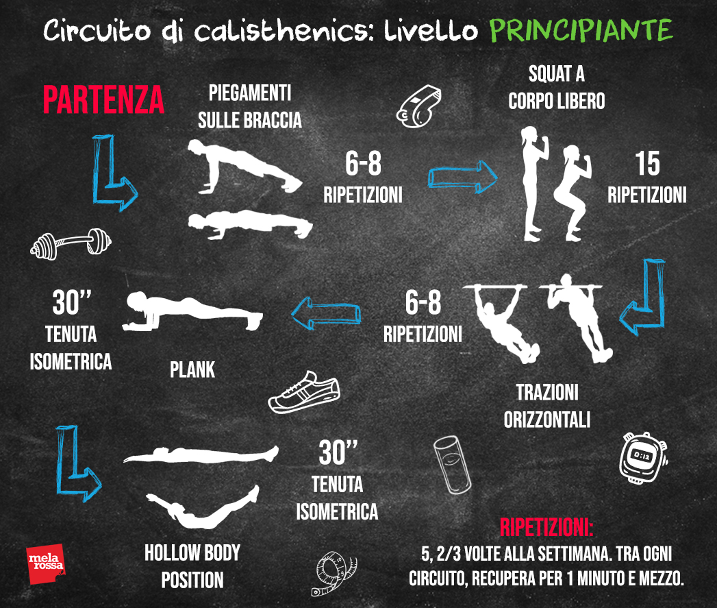 circuito calisthenics: livello principiante