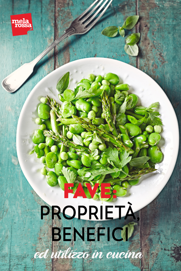 fave : benefici e valori nutrizionali