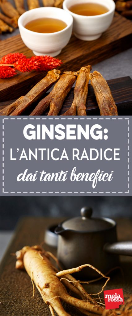 Il Ginseng: una radice esotica, dalle forme e dalle virtù incredibili, da sempre circondata da un alone di magico mistero. Nella medicina orientale l’utilizzo terapeutico della radice di Ginseng ha alle spalle una tradizione millenaria. Le sue proprietà? Molte, moltissime, tanto che viene considerata una pianta “adattogena”: i suoi benefici si adattano cioè alla persona che ne fa uso a seconda delle proprie specifiche carenze o esigenze. Le sue più famose qualità, come il suo successo, sono però legate a tre parole: energia, efficienza e prestanza, in tutti i sensi! Melarossa.it #dietamelarossa