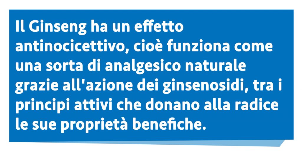 ginseng benefici analgesico naturale