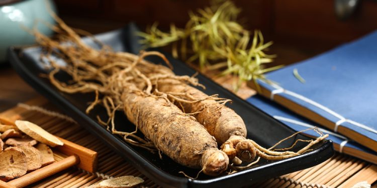 Due radici di ginseng su un piatto