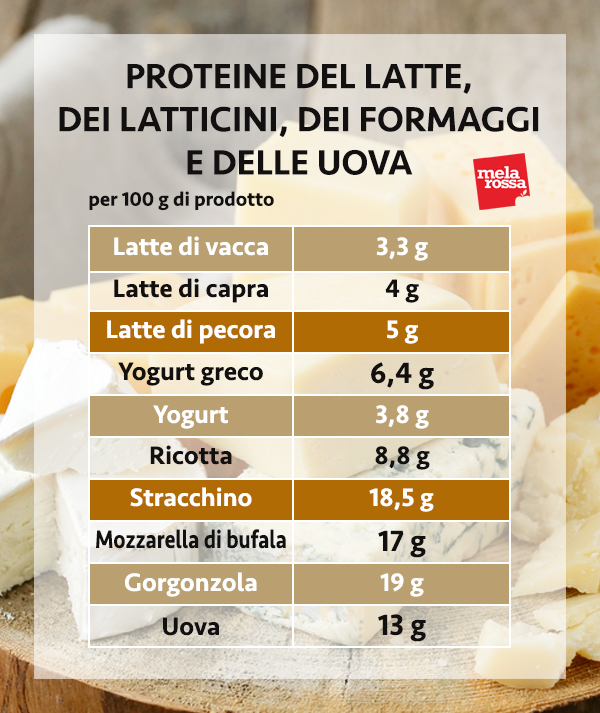 guida sulle proteine: le proteine di latte, latticini, formaggi e uova