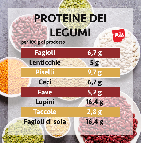 guida sulle proteine: le proteine dei legumi