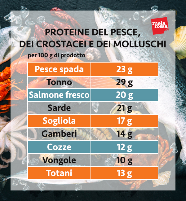 guida sulle proteine: le proteine del pesce