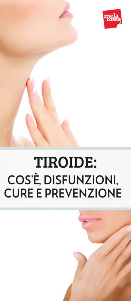 La tiroide è una ghiandola importantissima per la nostra salute perché si comporta come una centralina che regola, attraverso la produzione di ormoni, organi e funzioni fondamentali per il nostro organismo, come il metabolismo, il sistema cardiocircolatorio, l’apparato riproduttivo Melarossa.it #dietamelarossa