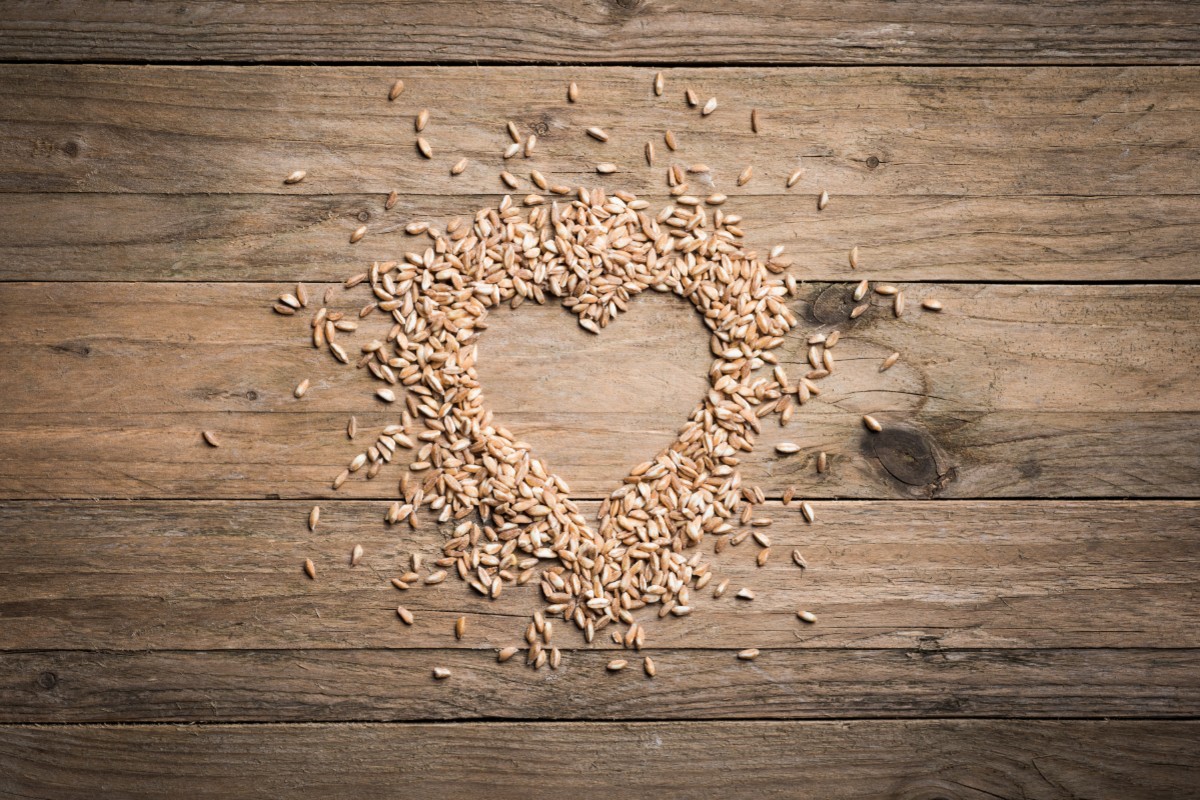 farro: habitat e storia