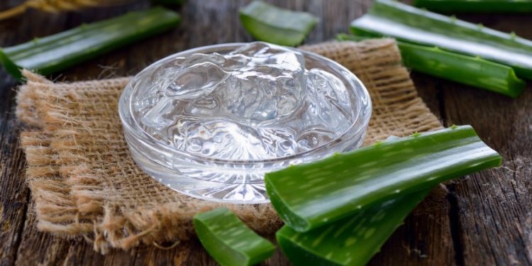 gel di aloe vera