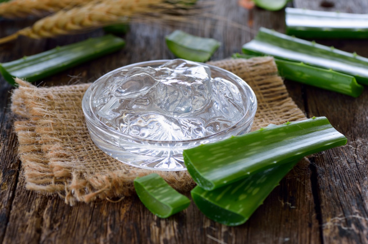 aloe vera ricette per la pelle