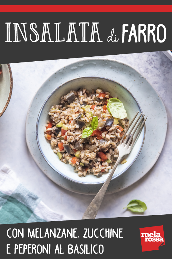 insalata di farro 1