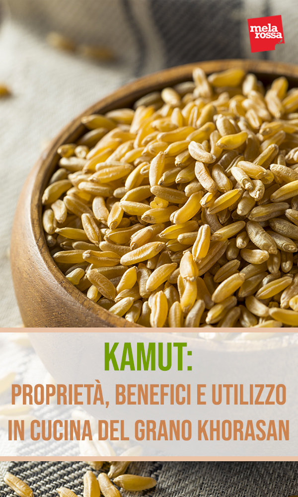 kamut: proprieta, benefici