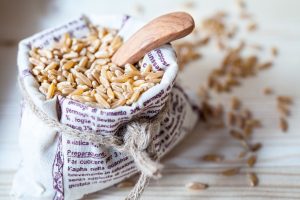 Kamut: che cos’è, proprietà, benefici, come cuocere i chicchi, ricette e usi in cucina del grano Khorasan