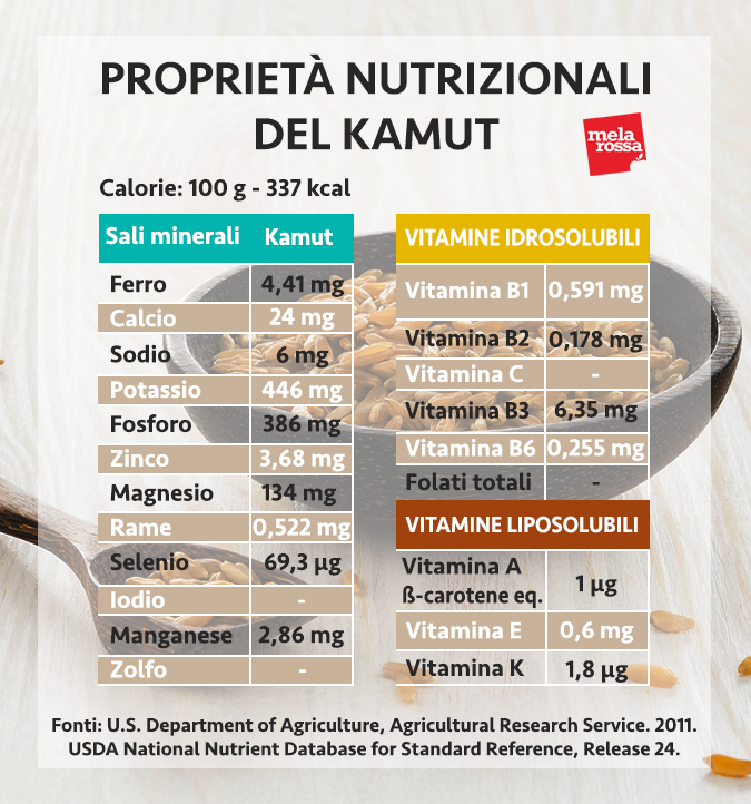 kamut valori nutrizionali