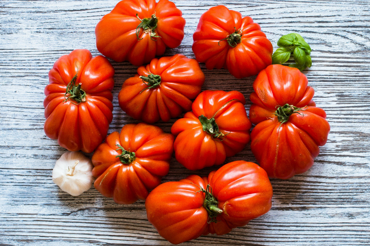 pomodori cuore di bue