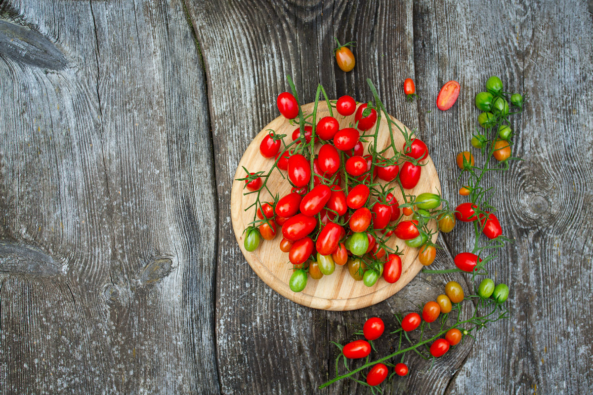 pomodori datterini