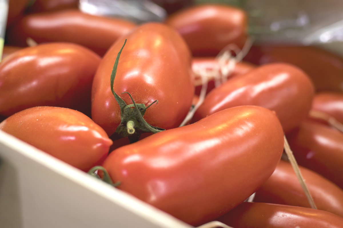 pomodori san marzano