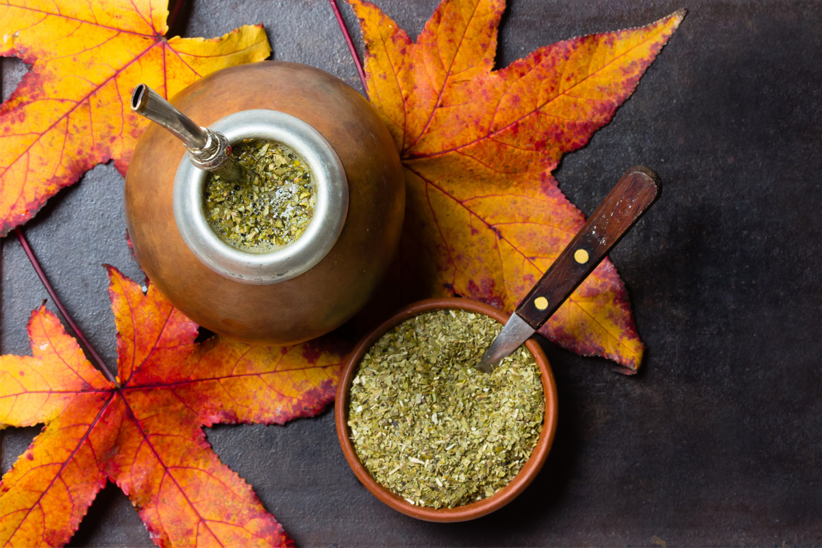 yerba mate proprietà nutrizionali