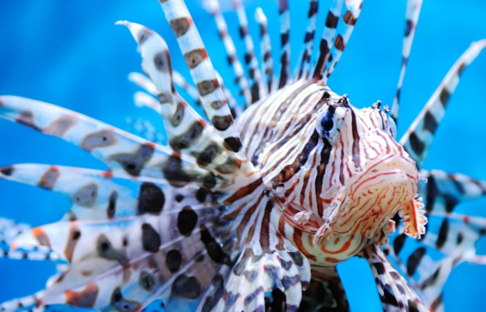 AdobeStock 15285225