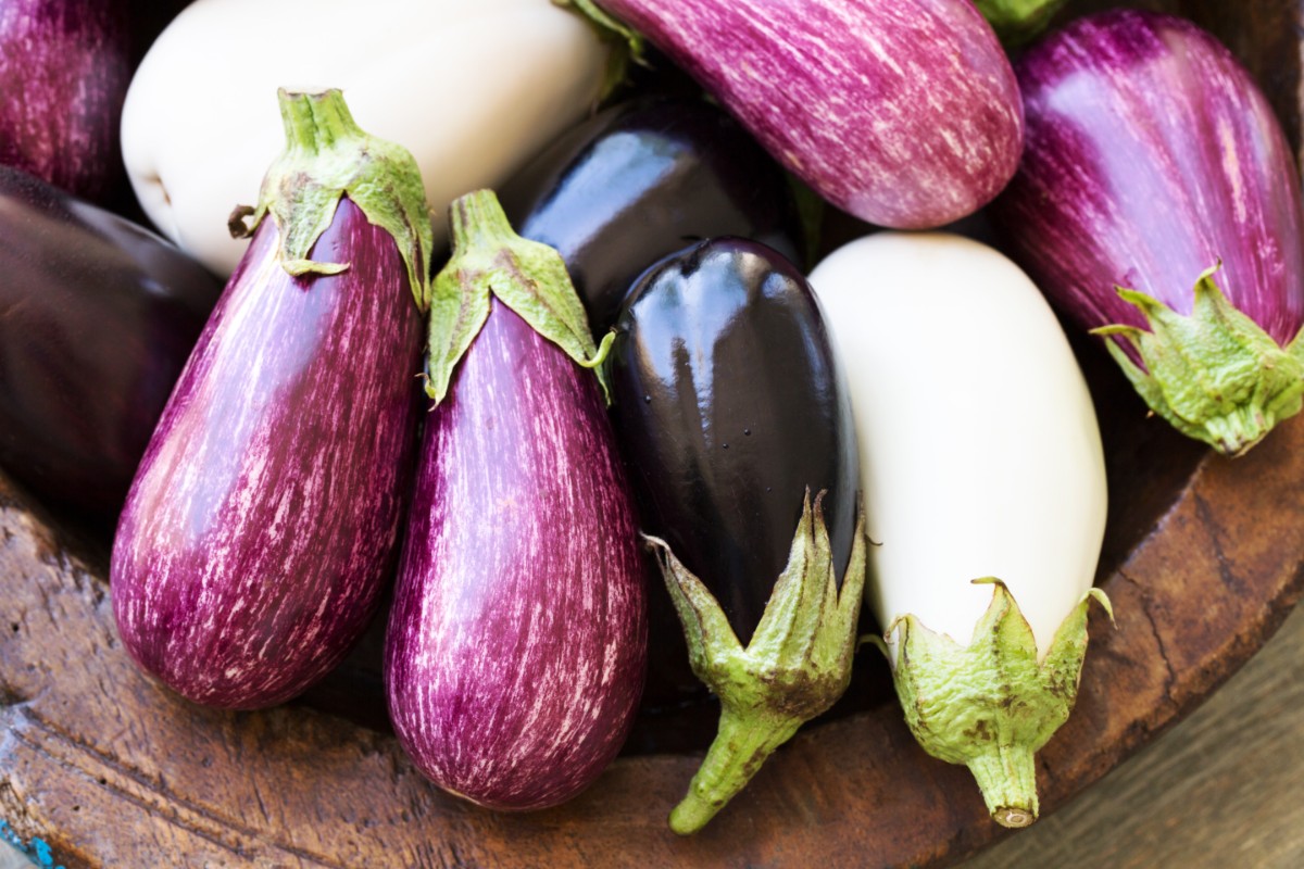 eventuali varietà: ovali