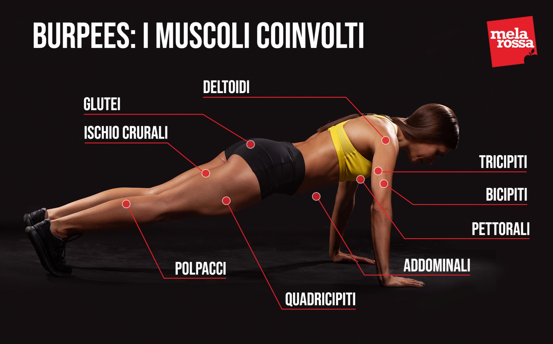 burpees: muscoli coinvolti