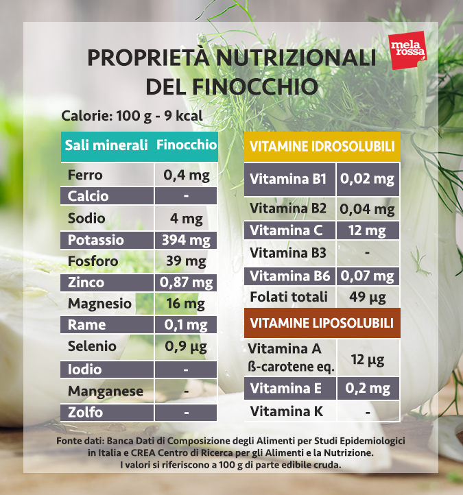 valori nutrizionali finocchio