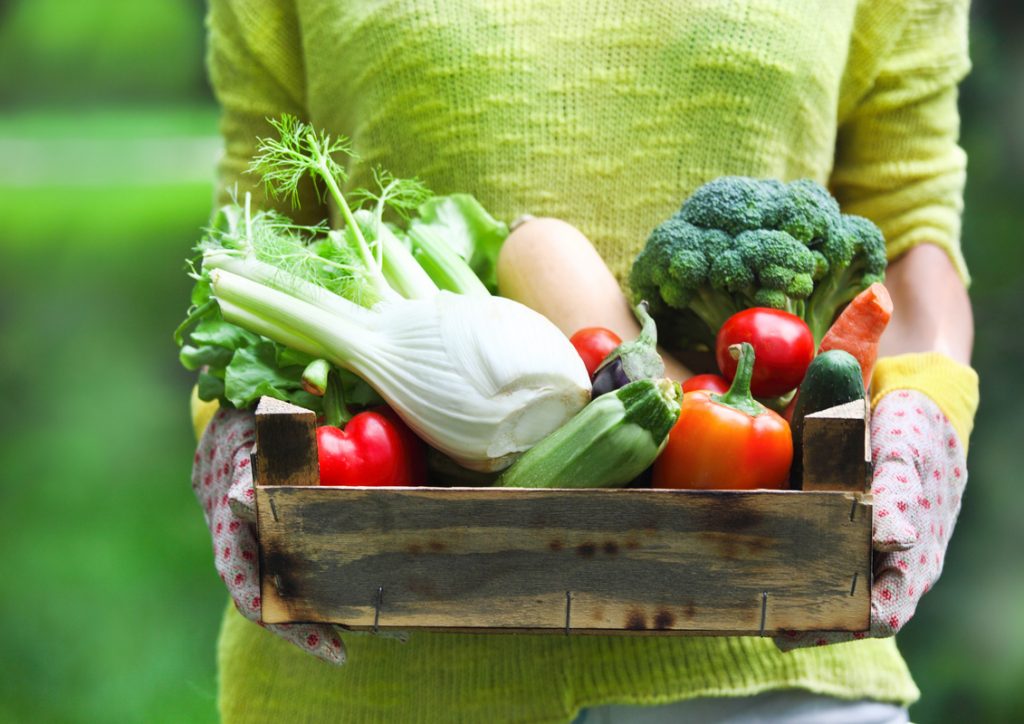 Alimentazione contro la gastrite