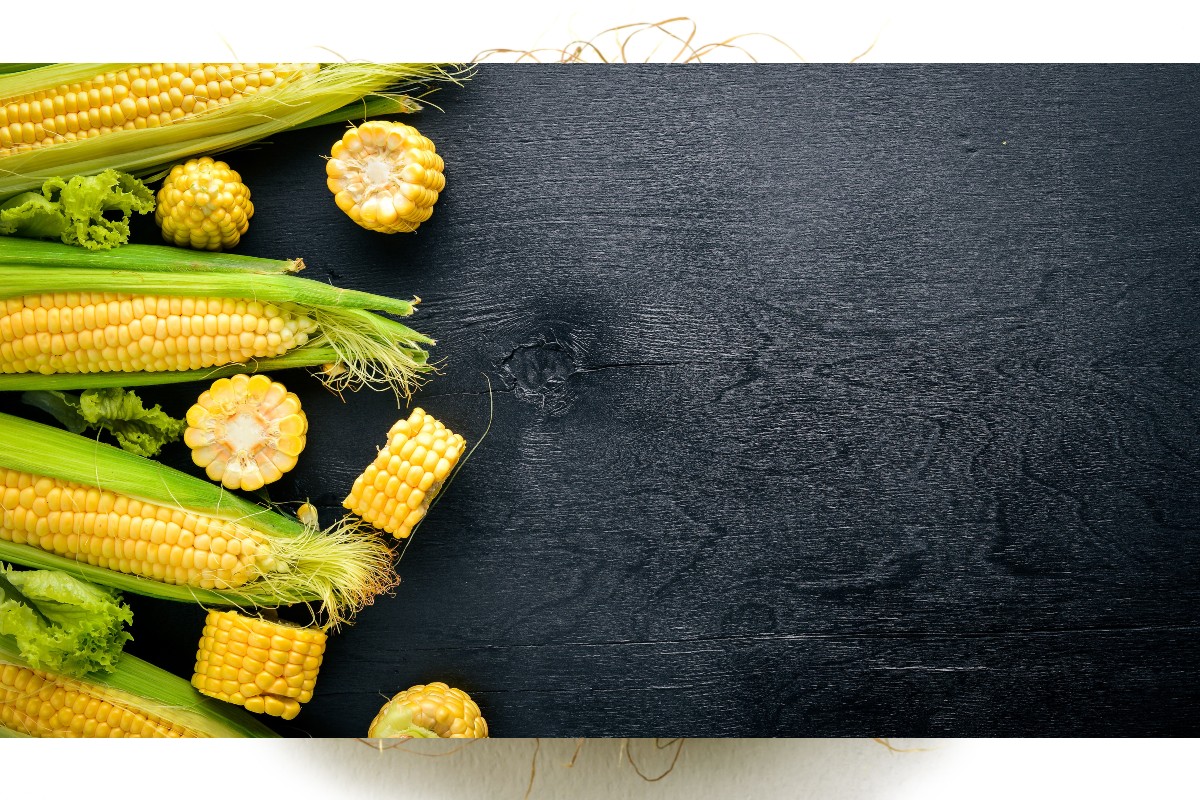 Mais Proprieta Benefici E Utilizzo In Cucina Dell Antico Cereale Melarossa