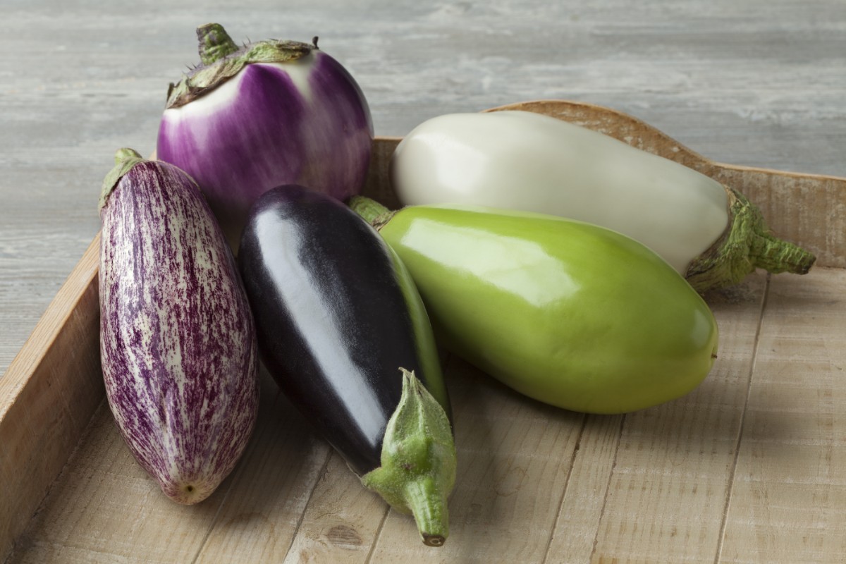 melanzana: varietà eventuali