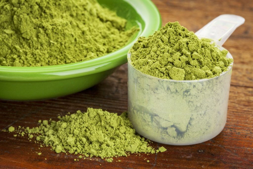 moringa, la polvere