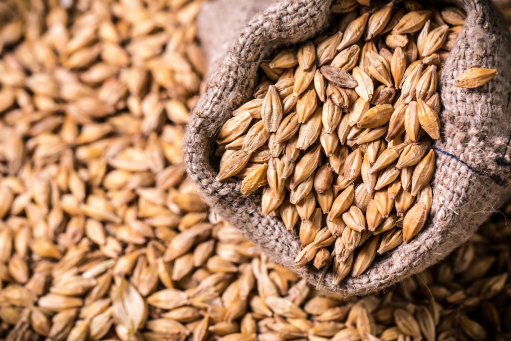 orzo, le proprietà