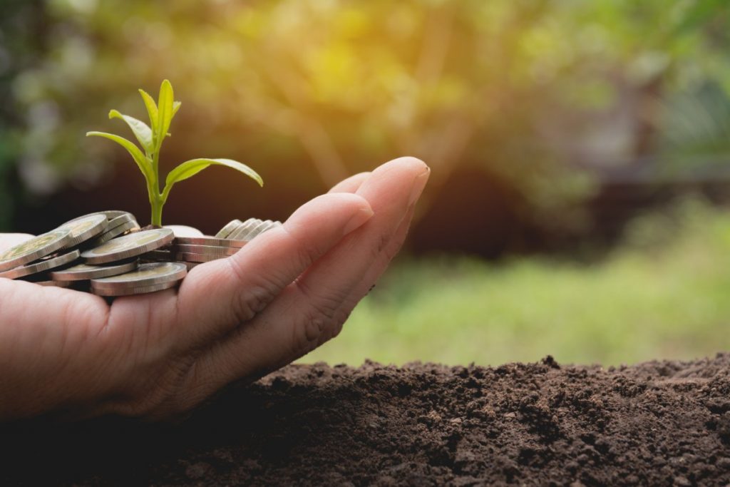 allevamenti e tutela dell'ambiente