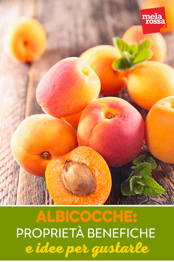 albicocche
