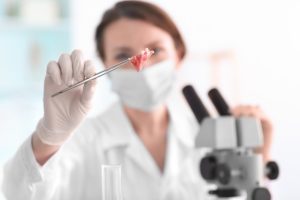 Allarme listeria, che cos’è e come si previene l’infezione di questo batterio